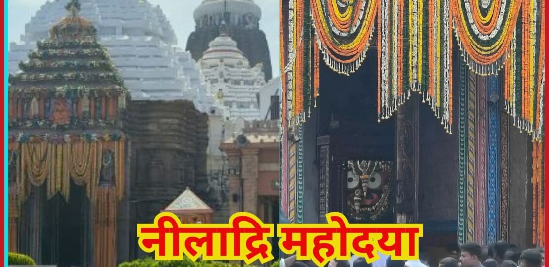 नीलाद्रि महोदया
